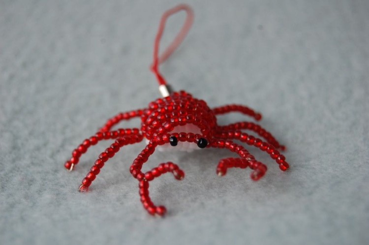 krab (3).jpg