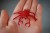 krab (7).jpg