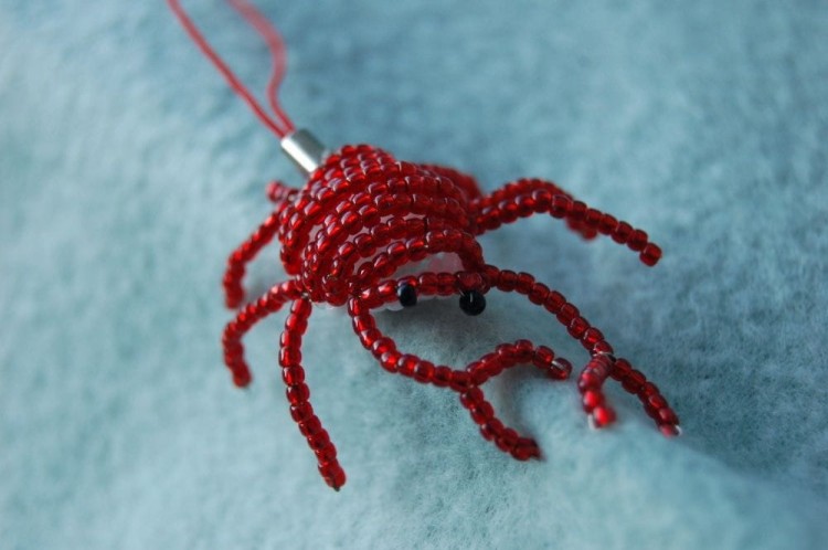 krab (6).jpg
