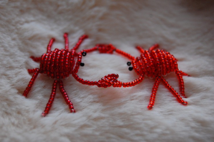 krab (1).jpg
