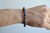 _DSC0320.jpeg